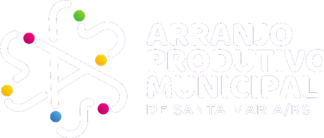 Arranjo Produtivo Municipal de Santa Maria/RS